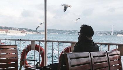 木模板多少钱一吨