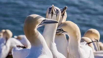 镀锌钢格栅多少钱一吨啊