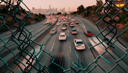 木模板多少钱一吨