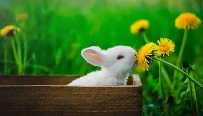 纯钛价格多少钱一吨