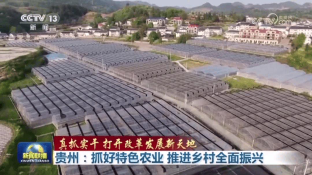 央视《新闻联播》聚焦贵州：抓好特色农业 推进乡村全面振兴