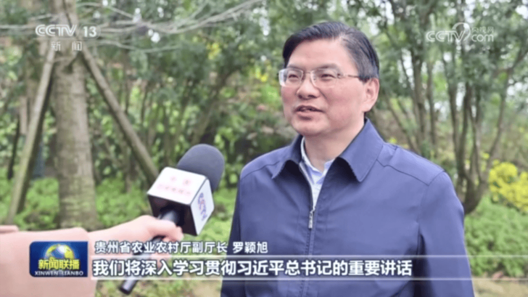 央视《新闻联播》聚焦贵州：抓好特色农业 推进乡村全面振兴