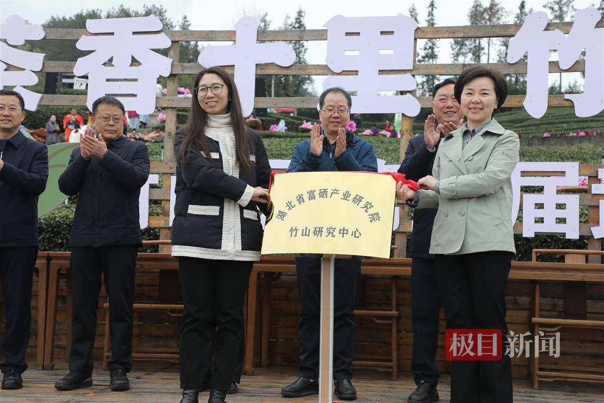 十堰市竹山县举行“武当山茶”开采新闻发布会，县长王丽媛为竹山硒茶代言