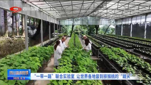 四川新闻联播丨四川：深化科技合作 扩大国际“朋友圈”