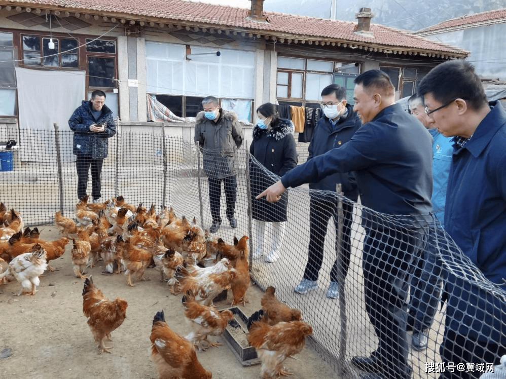 中国石化石家庄炼化分公司定点帮扶结硕果