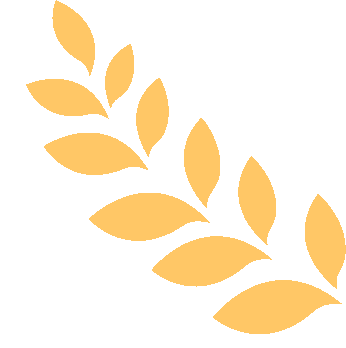 我们追着石油走|中原油田举办庆祝发现50周年文艺晚会