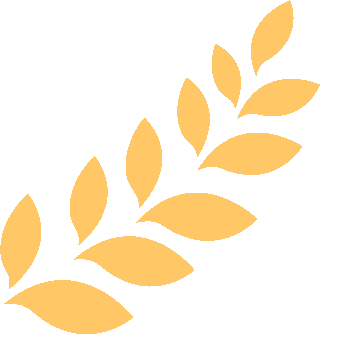 我们追着石油走|中原油田举办庆祝发现50周年文艺晚会