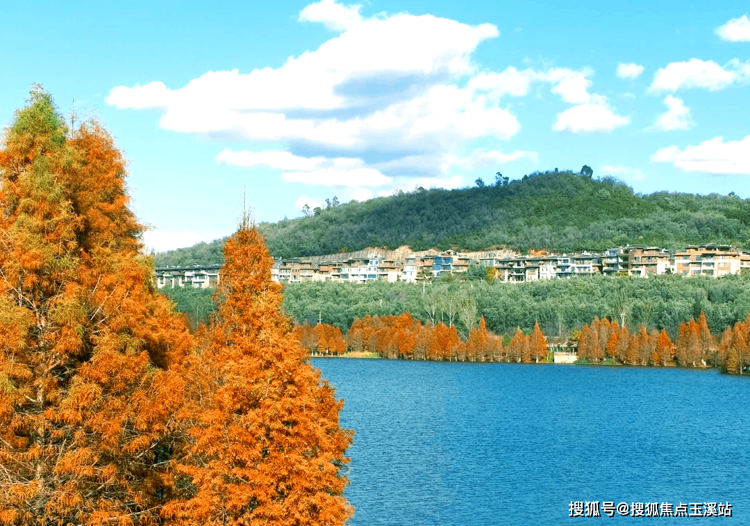 昆明鸿基云玺台配套学校/最新价格走势/户型图/房价多少