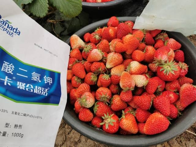 水溶肥价格多少钱一吨?