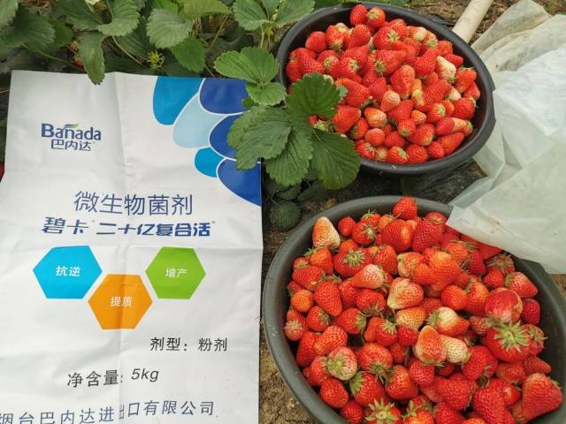 水溶肥价格多少钱一吨?